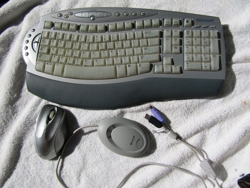 Microsoft wireless comfort - microsoft,